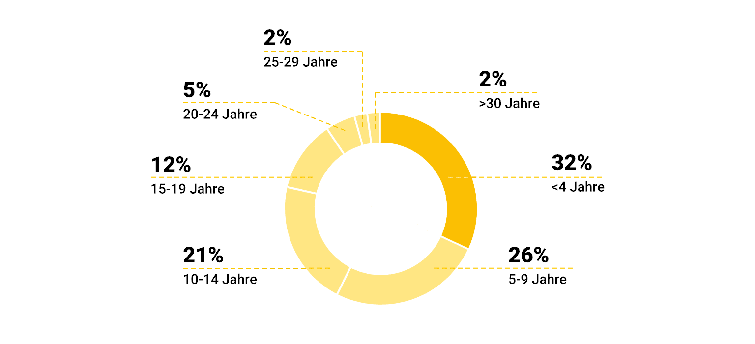 Automotive Aftermarket - Visualisierung des Durchschnittsalters der Autos in Deutschland