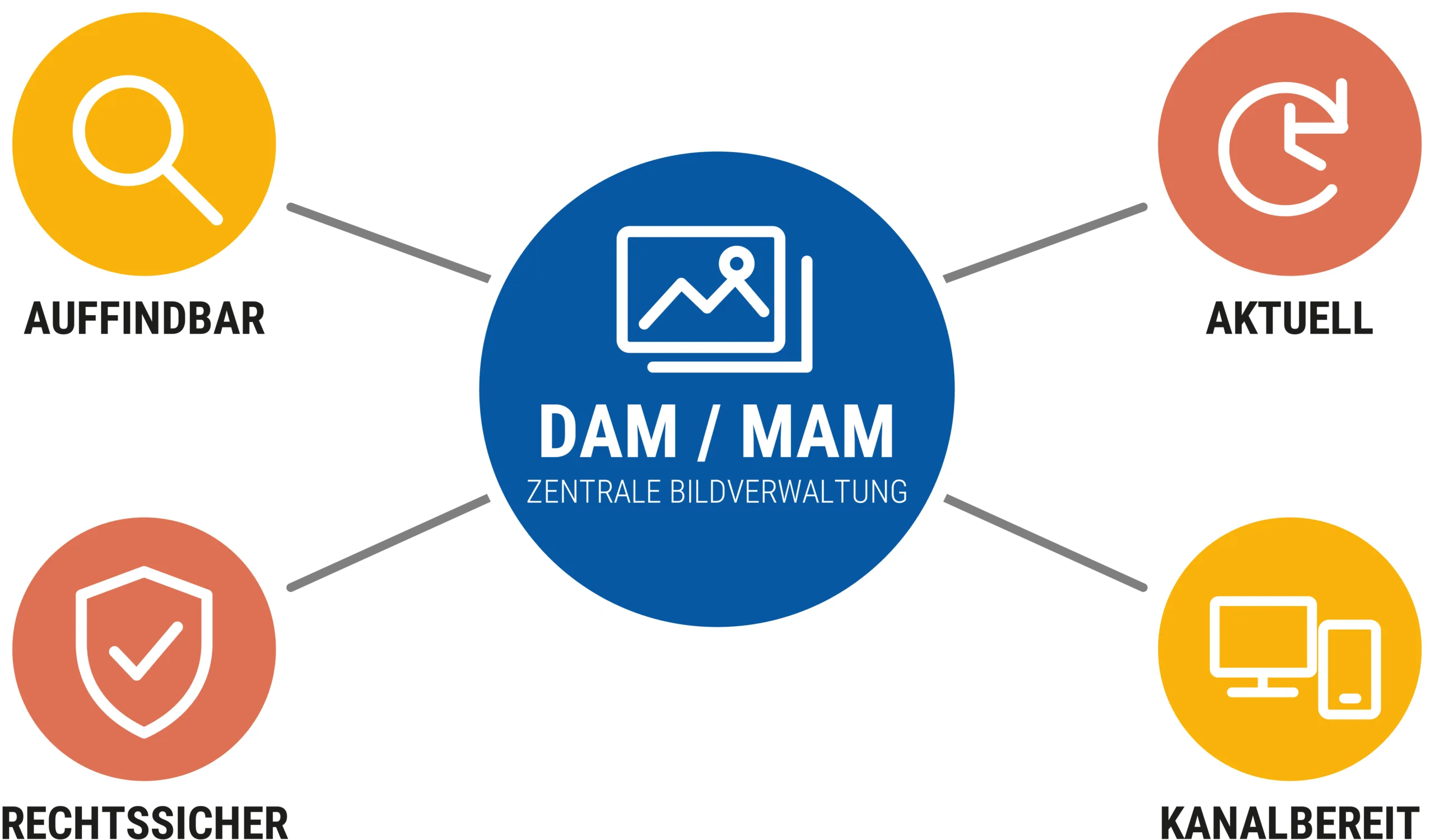 dam-mam-produktbilder-fazit (1) dam mam produktbilder fazit 1 scaled